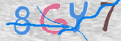 CAPTCHA-Bild